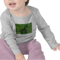 Sea Lion Monterey California Products t-shirts