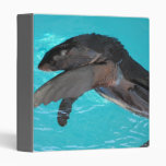 Sea Lion Playing binder
