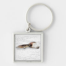 Sea Lion Porte-clef