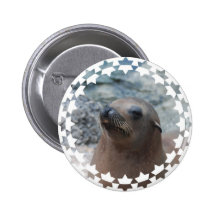 Sea Lion Star Button