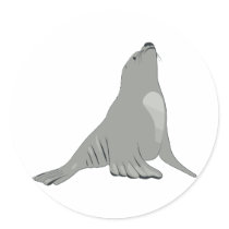Sea Lion