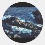 Sea Lion Sticker