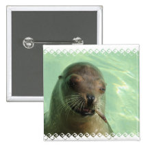 Sea Lion with Fish Square Pin