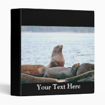 Sea Lions Photo 3 Ring Binders