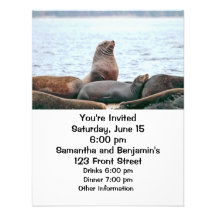 Sea Lions Photo Custom Announcements