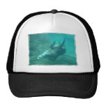 Sea Lions Scrape Edge Hat