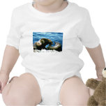 Sea Lions Tees