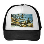Sea Lions Trucker Hats