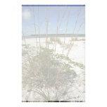 Sea oats and other beach vegetation personalized stationery