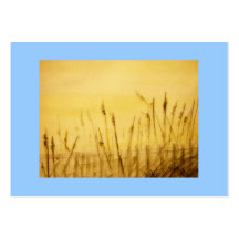 sea oats business card