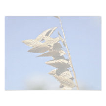 Sea oats panicle with spikelets personalized invite