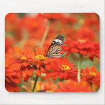 Sea of Red