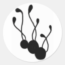Sea Onions Sticker