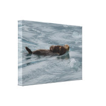 sea otter and baby stretched canvas prints