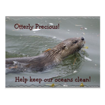 Sea Otter Anti-Pollution Postcard