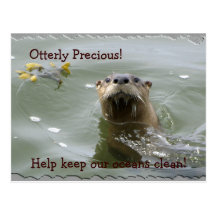 Sea Otter Anti-Pollution Postcard