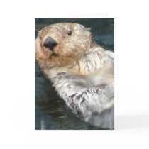 Sea Otter Greeting Card
