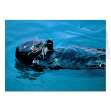 Sea Otter oil Greeting Cards