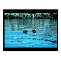 Sea Otter Post Cards
