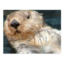 Sea Otter Postcard