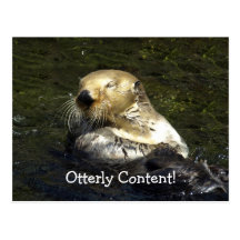 Sea Otter Postcard