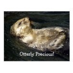 Sea Otter Postcard