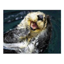 Sea Otter Postcards