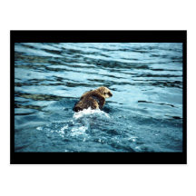 Sea Otter Postcards