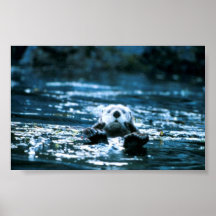 Sea Otter Print