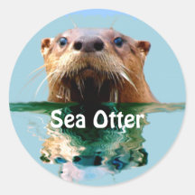 SEA OTTER Series I Round Sticker