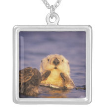 Sea Otters, Enhydra lutris 5 Necklaces