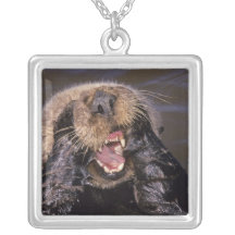 Sea Otters, Enhydra lutris 6 Custom Jewelry