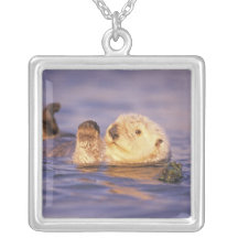 Sea Otters, Enhydra lutris Pendant