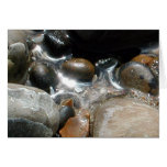 Sea pebbles greeting card