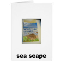 sea scape cards