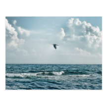 sea scape post card