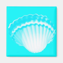 Sea Shell-2 Magnets