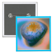 Sea Shell Items Button