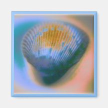 Sea Shell Items Magnets