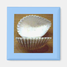 Sea Shell Items Refrigerator Magnet