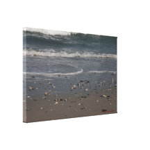 Sea Shell Littered Beach Canvas Print