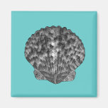 Sea Shell Magnet
