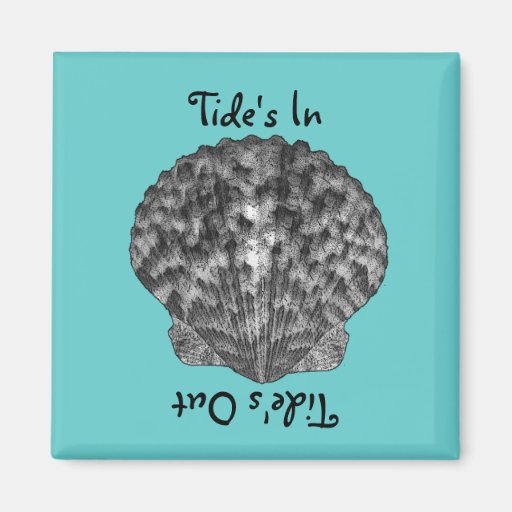Sea Shell Magnet