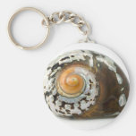 Sea Shell On White Background Keychains