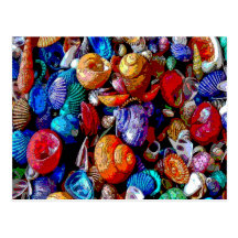 Sea Shells Abstract 2009 Postcards