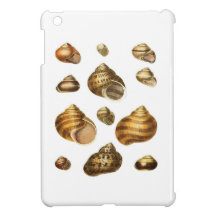 Sea shells and maritime theme, brown ocean shell iPad mini cover