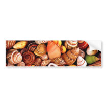 Sea Shells Bumper Sticker