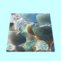 Sea Shells Canvas canvas prints