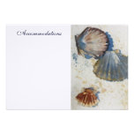 Sea Shells Enclosure Card Personalized Invites