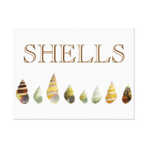 Sea Shells Photo Modern Art Canvas Stretched Canvas Prints